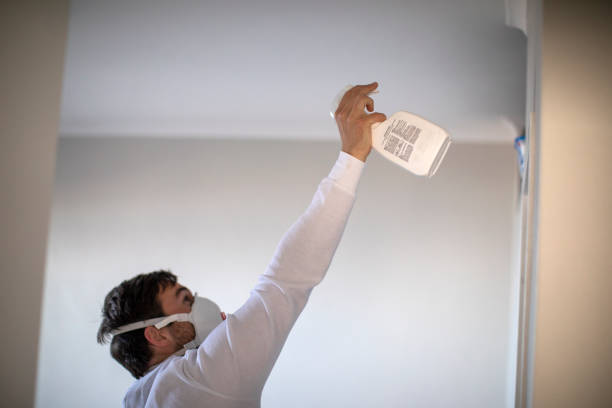 Best Residential Mold Removal  in Vassar College, NY