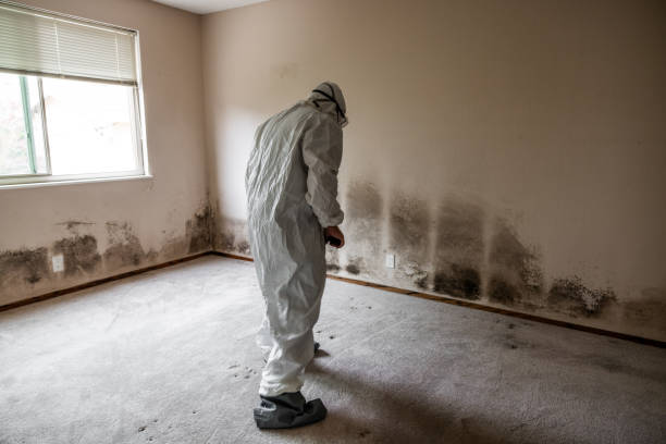 Best Mold Testing  in Vassar College, NY